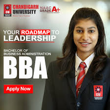 Confused After 12th? Let BBA in Business Analytics at Chandigarh University Clear the Way